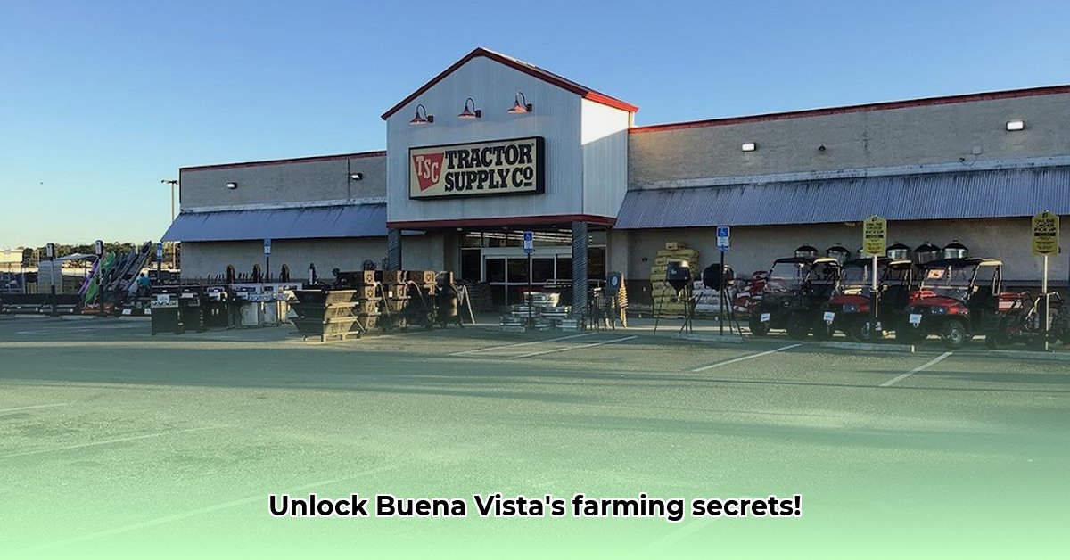tractor-supply-buena-vista